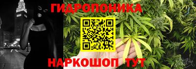 спиды Кандалакша