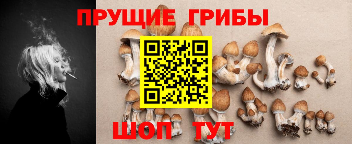 Галлюциногенные грибы GOLDEN TEACHER Волгодонск